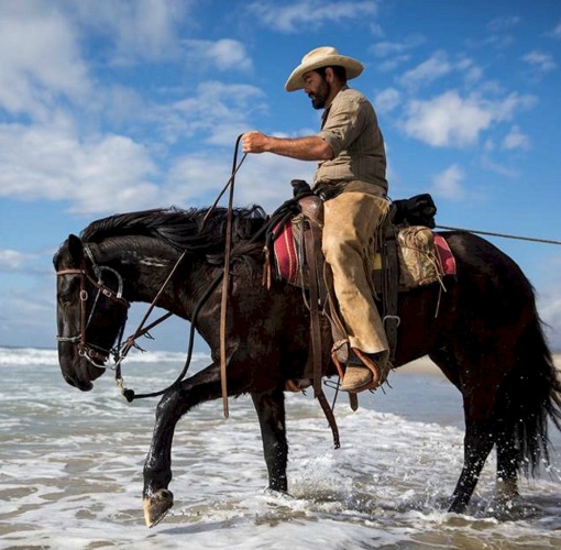 Western riding, the joy and freedom – what should you expect and exactly how much fun are you going to have?