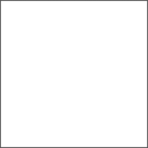 White (White Interior)